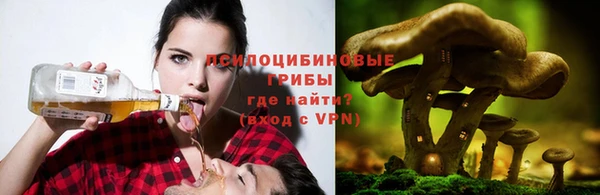 дурь Алексеевка