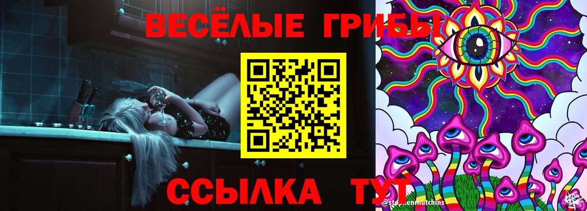 Ковров  Псилоцибиновые грибы GOLDEN TEACHER  Вход с VPN  Псилоцибиновые грибы прущие грибы 